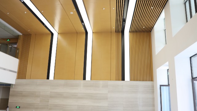 理工大學(xué)木紋鋁單板