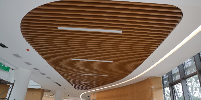 異形鋁單板和弧形鋁單板的區(qū)別是什么，如何選擇靠譜的鋁單板廠家